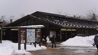 木製遊歩道で知床五湖をめぐる