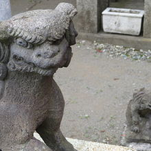 境内入口に鎮座する狛犬