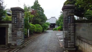 大きなシイの樹があるおちついたたたずまい。