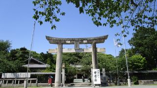 西公園 　春は桜が見事　初夏は緑と藤が美しい