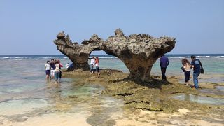 たくさん観光客がいました