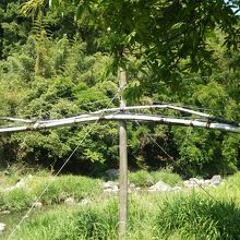 緑いっぱいで癒されます〜！