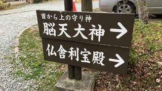 吉野の脳天さん