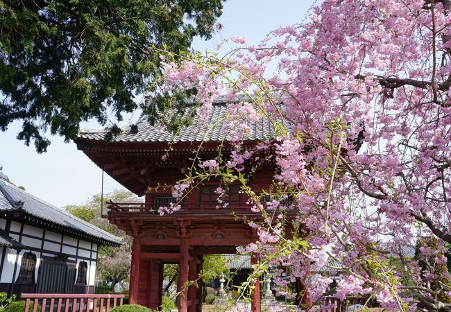 境内はその格式をそこはかとなく感じる雰囲気