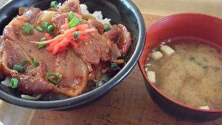 雄大な山々を見ながら