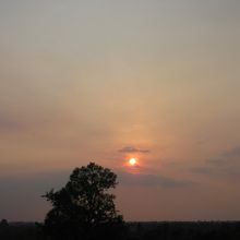 平原（密林）に陽が落ちていきます