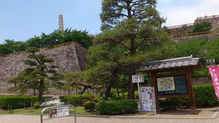 今は舞鶴城公園