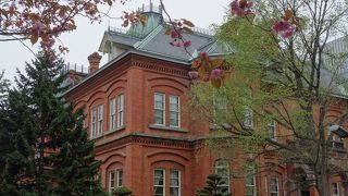 北海道庁旧本庁舎は花の名所でもあります。桜の名所です。