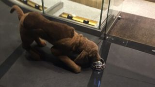 イギリス系ファッション