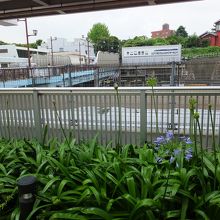 東側から見たところ。