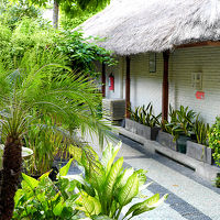 ヴィラに続く道。緑がいっぱいです。