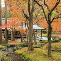 ホテル内の日本庭園の紅葉が綺麗