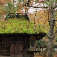 日本庭園でのんびり散策