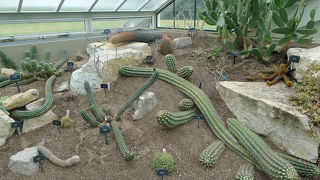 なんじゃこれ！な植物がいっぱい！