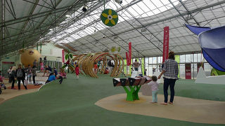 子供も楽しめる