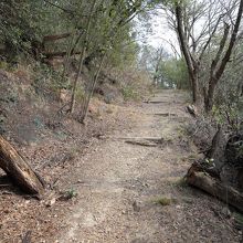 ハイキングコース