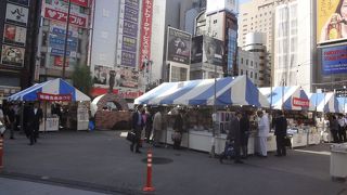 恒例の古本まつり