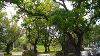 自然とチャイナ建物