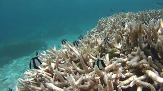 超お勧めビーチ