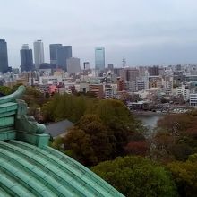展望室からの景色