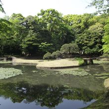 心穏やかになります