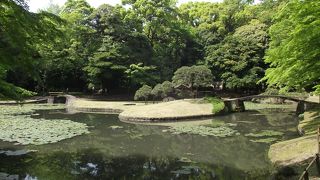中央に池のある純日本式の庭園です
