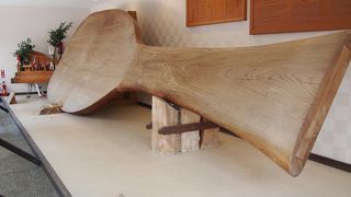 みんな興味なさそうでした