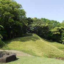 笹に覆われた小高い丘に見えます