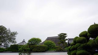 花の寺巡礼　第二十三番　金剛寺