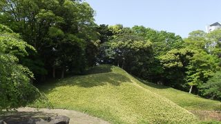 笹に覆われた小高い丘に見えます