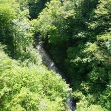 橋の上から見た阿武隈川。