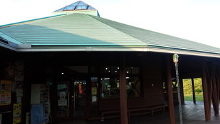 千葉の道の駅では小さめかな