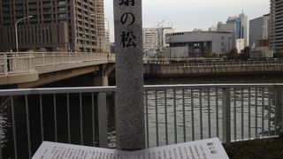 人々に愛された松