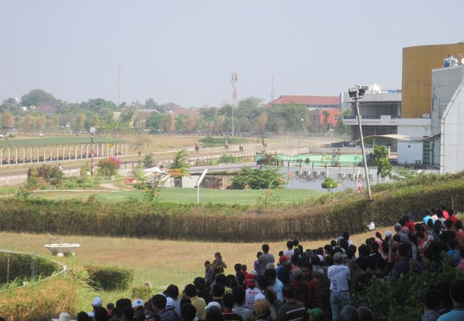 プロマス競馬場