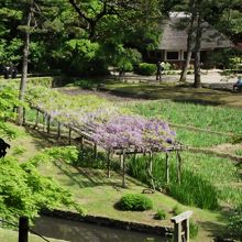 途中から見える藤棚など (左手が八卦堂跡)