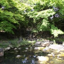 多分 白糸の滝 付近