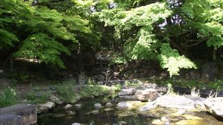 現在解体調査中で滝つぼ流れ底に敷板が発見された 由です