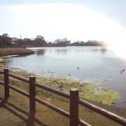 湖のほとりは落ち着ける公園となっています