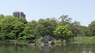 大泉水のほぼ真ん中に浮かぶ亀形をした島です