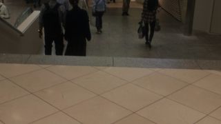 南館がリニューアル