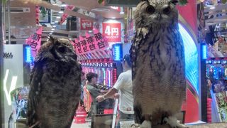 ドンキには中国人のバク買いが