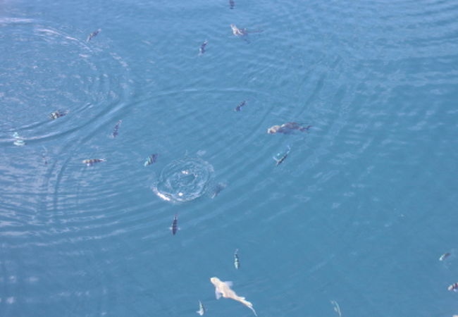 青の洞穴 (アナワ洞穴)