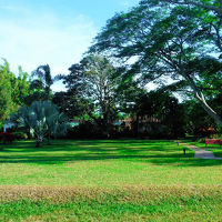 庭は結構ひろいです