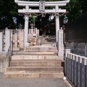 樹齢５００年の大クスがあります