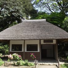 重厚な茅葺屋根が取り分け綺麗に見えます