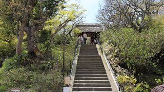 自然と調和した墓苑が素晴らしい