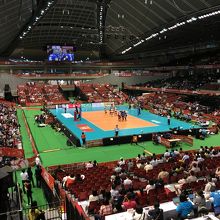 全日本女子バレーの応援