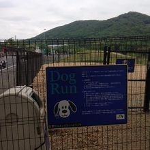 わんちゃんの息抜きにおすすめ