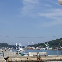 遊歩道からの景色