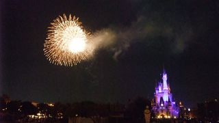 現在はスカイウィッシュの名前で！